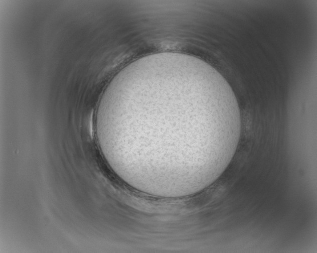 X0000076080028200610202052