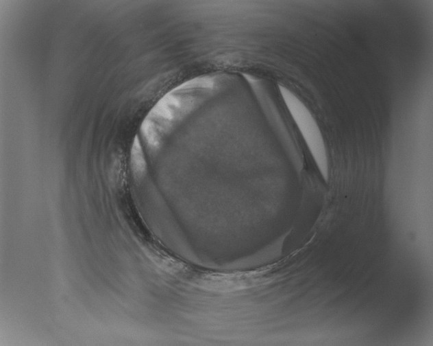 X0000076080029200610202052