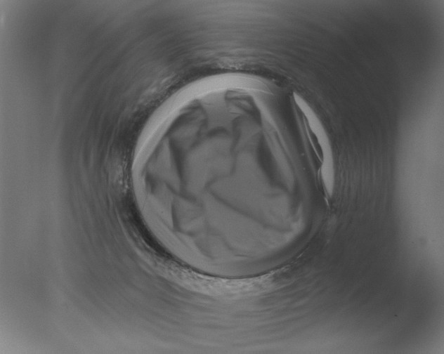 X0000076080031200610202052