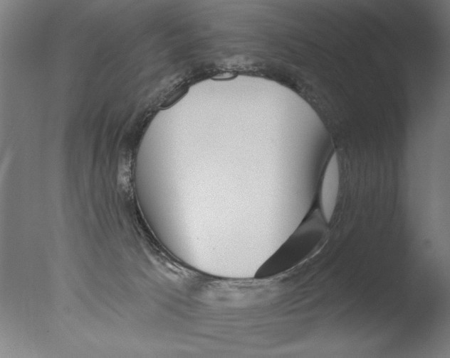 X0000076080033200610202052