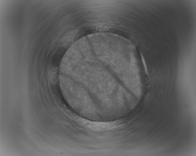 X0000076080034200610202052