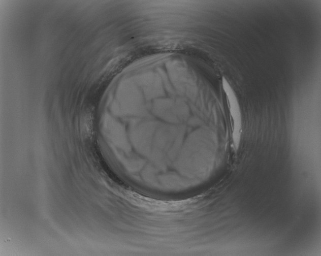 X0000076080035200610202052