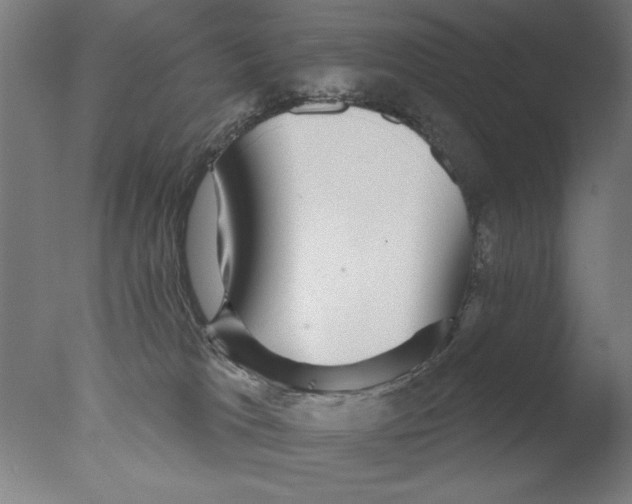 X0000076080037200610202052