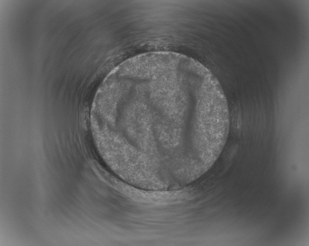 X0000076080038200610202052