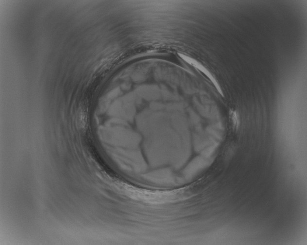 X0000076080039200610202052