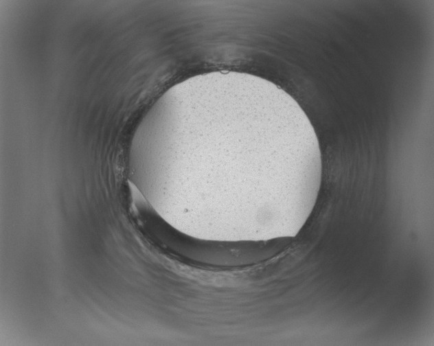 X0000076080040200610202051