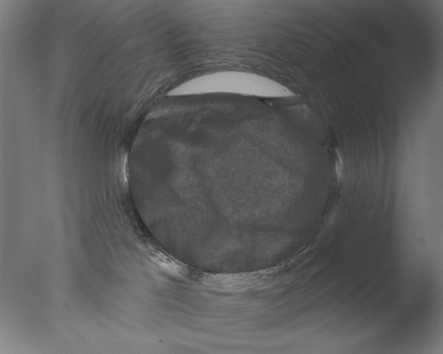 X0000076080041200610202051