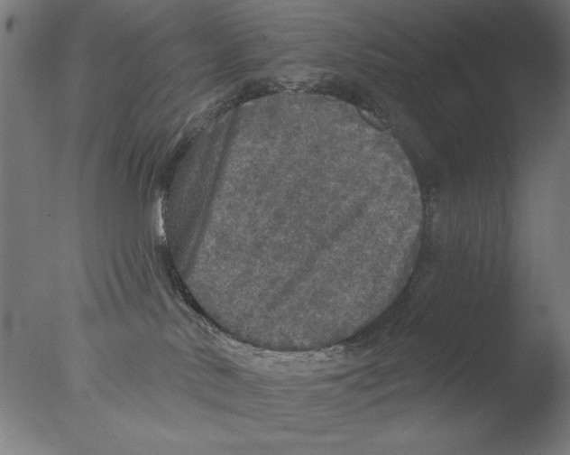 X0000076080042200610202051