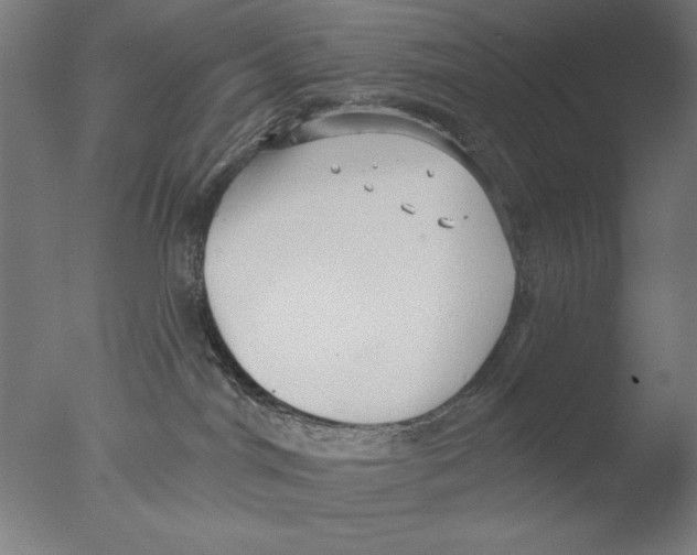 X0000076080044200610202051