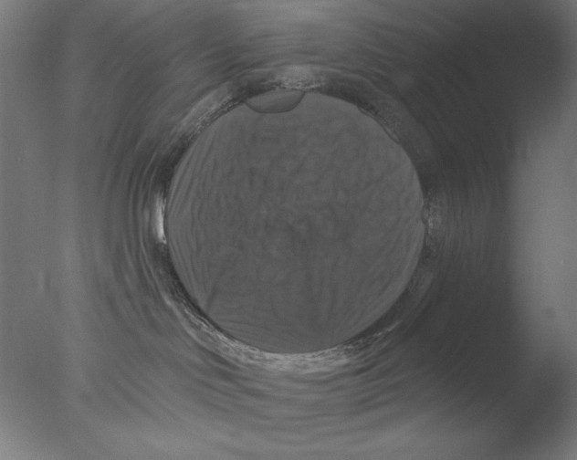 X0000076080046200610202051