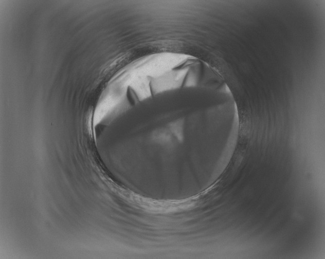 X0000076080047200610202051