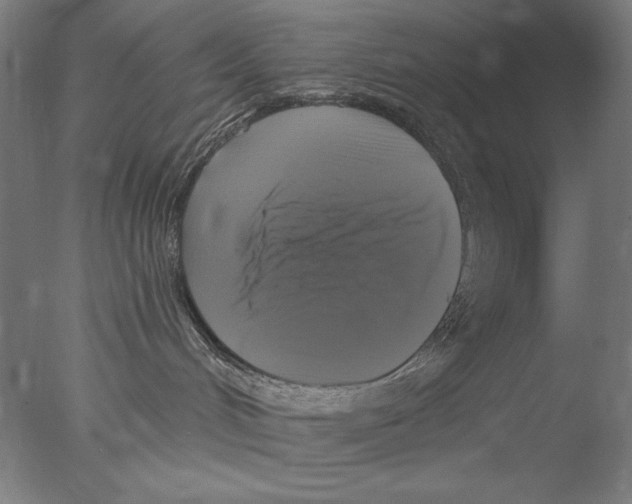 X0000076080048200610202051