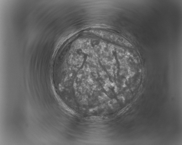 X0000076080049200610202051