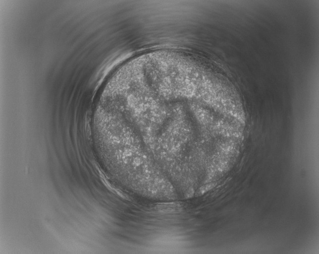 X0000076080050200610202051