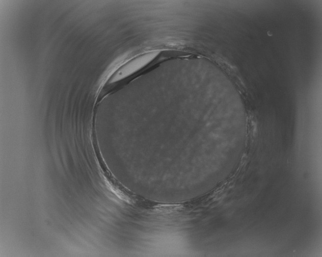 X0000076080051200610202051