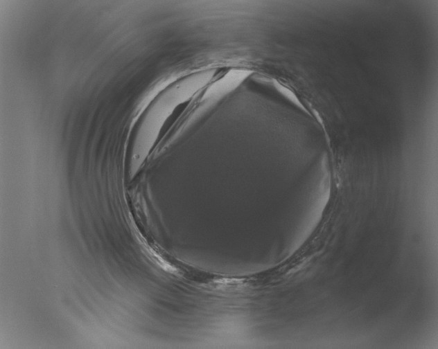 X0000076080052200610202051