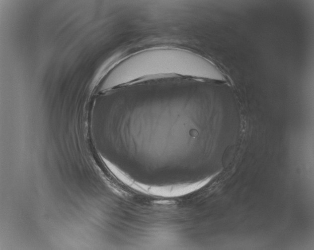 X0000076080053200610202051