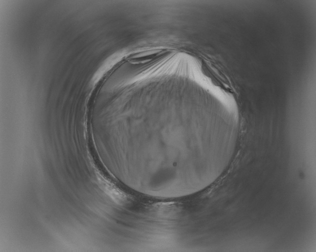 X0000076080054200610202051