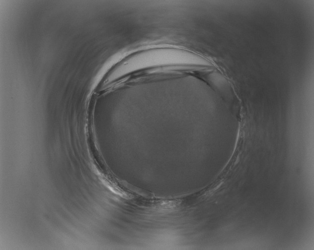 X0000076080056200610202051