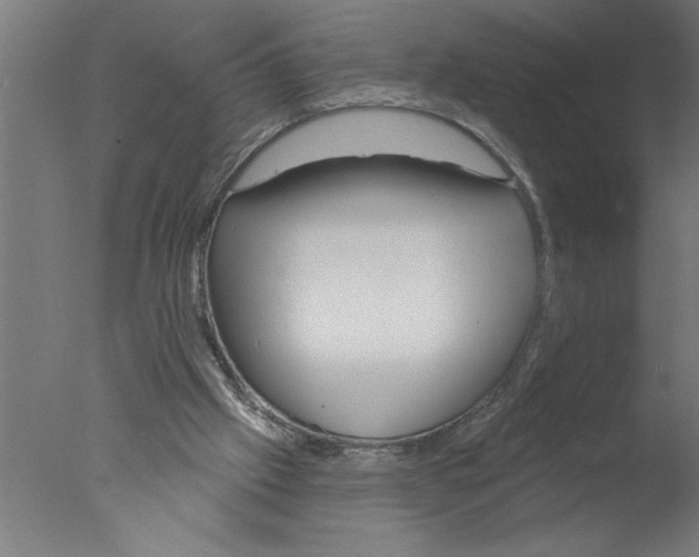 X0000076080057200610202051