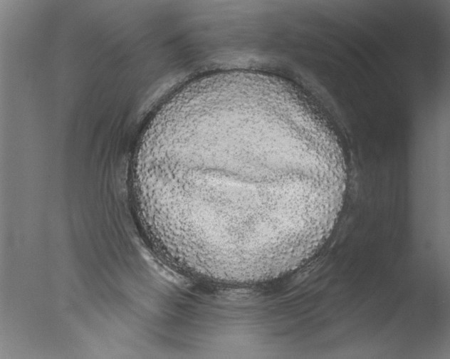 X0000076080058200610202051