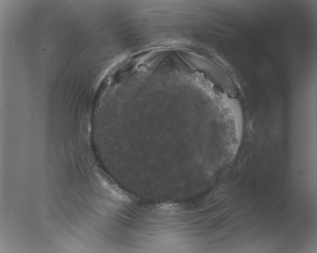 X0000076080059200610202051