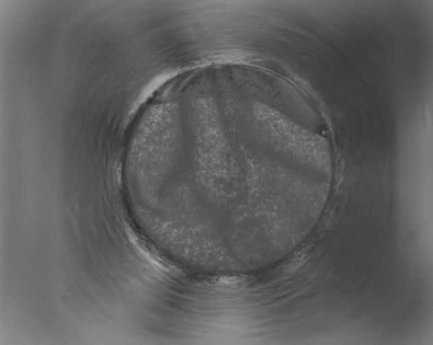 X0000076080060200610202051