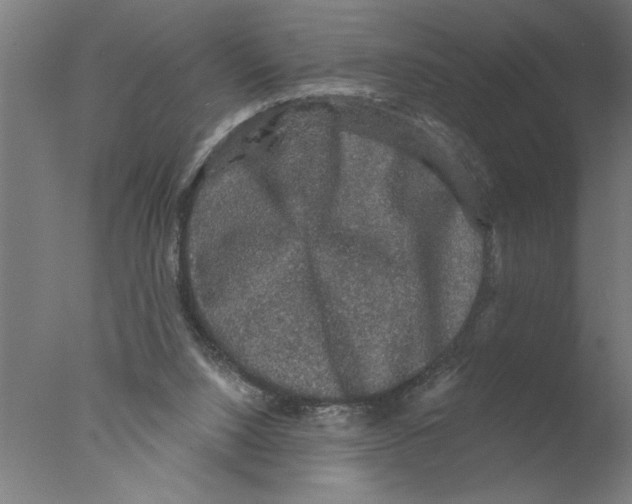 X0000076080064200610202051