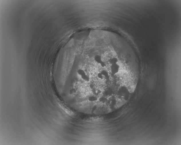 X0000076080065200610202051