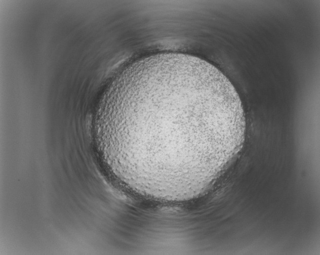 X0000076080066200610202051