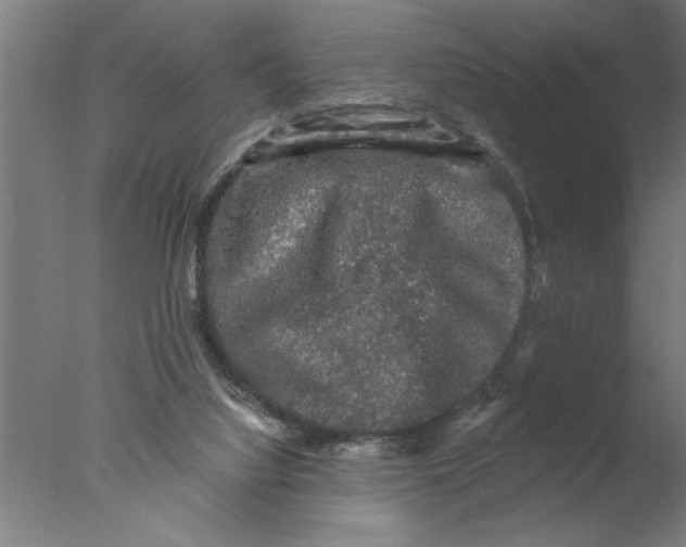 X0000076080068200610202051