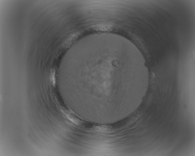 X0000076080069200610202051