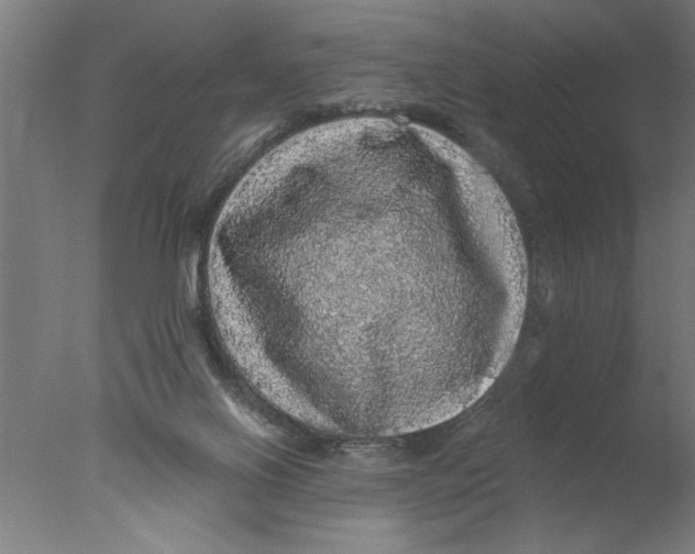 X0000076080070200610202051