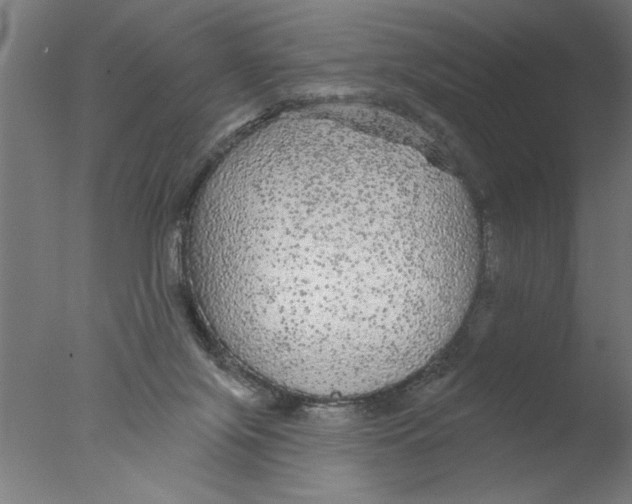 X0000076080071200610202051