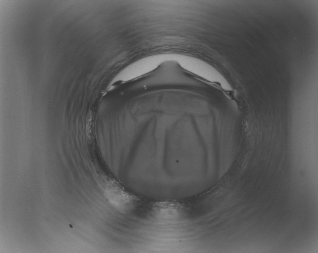 X0000076080073200610202051