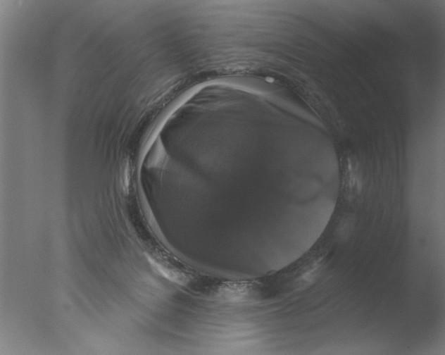 X0000076080076200610202051