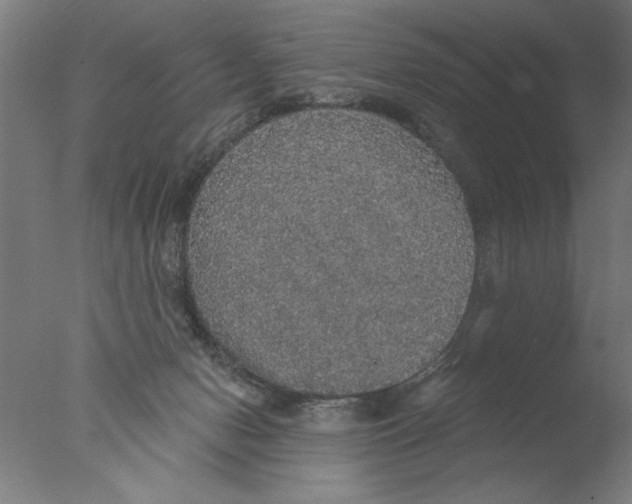 X0000076080078200610202051