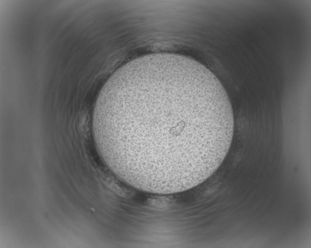 X0000076080079200610202051