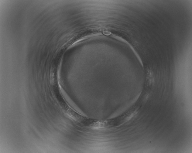 X0000076080080200610202051