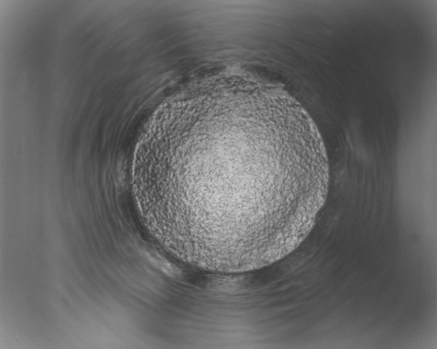 X0000076080081200610202051