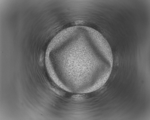 X0000076080082200610202051