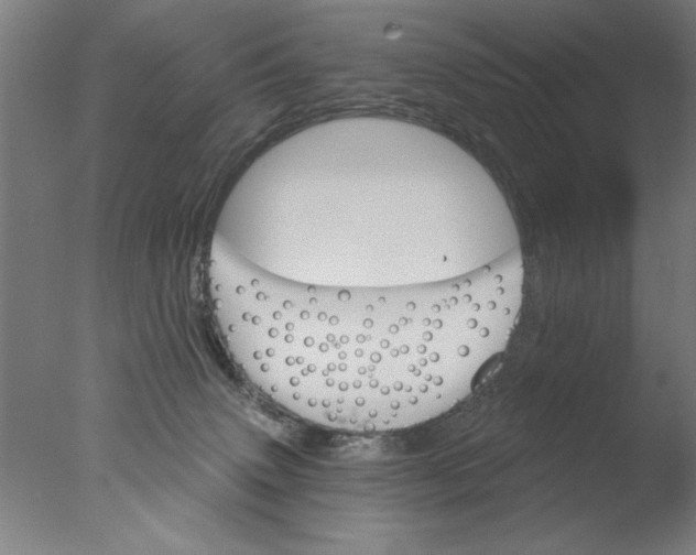 X0000076080083200610202051