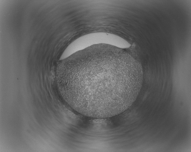 X0000076080085200610202051