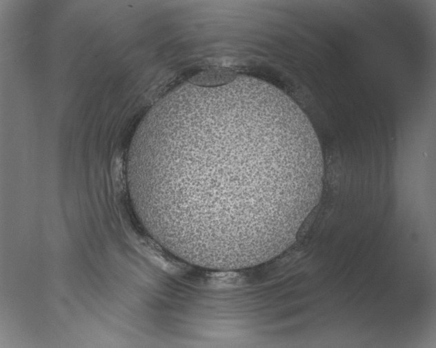 X0000076080087200610202051