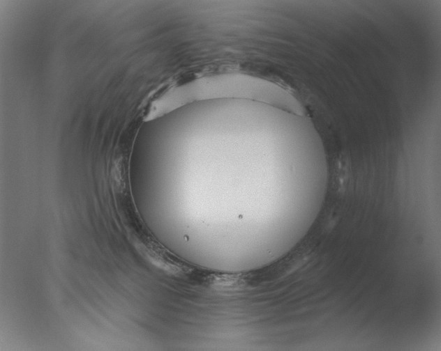 X0000076080088200610202051