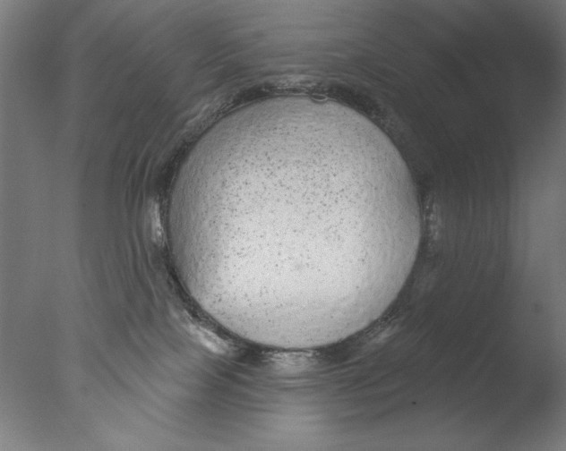 X0000076080089200610202051