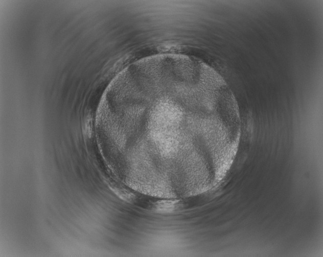 X0000076080090200610202051