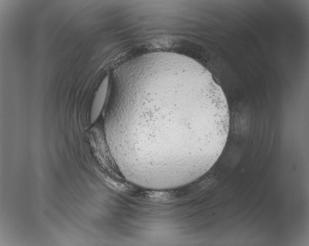 X0000076080091200610202051