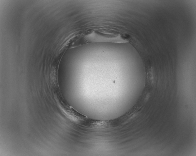 X0000076080092200610202051