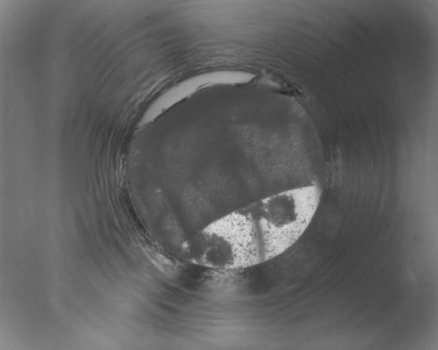 X0000076080093200610202051